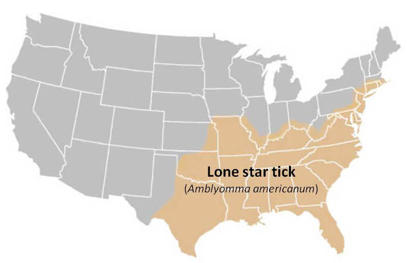 Lone star tick distribution map of United States The Tick App
