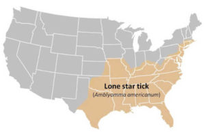 Lone star tick distribution map of United States